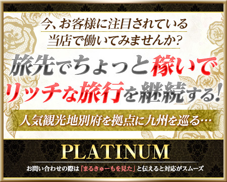 PLATINUM+画像1