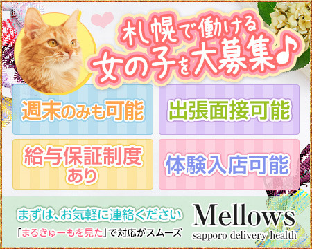 デリバリーヘルス メローズ+画像1