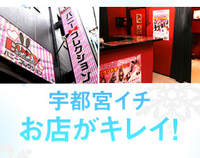 バニーコレクション+画像4