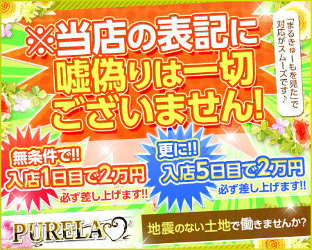 PURELA+画像1