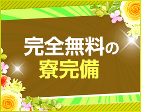 PURELA+画像2