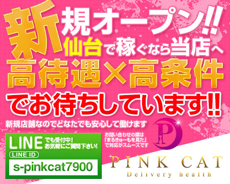 PINK CAT+画像1