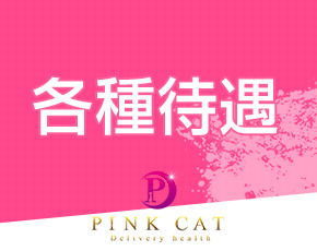 PINK CAT+画像4