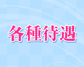 性なる日常 エルマナーニ+画像4