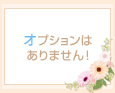 オプションはありません!