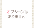 オプションはありません!