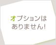 オプションはありません!