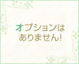 オプションはありません!