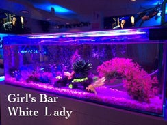 White Lady(ホワイトレディ)TOP画像2