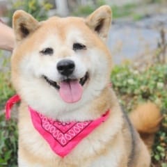 有馬さん
