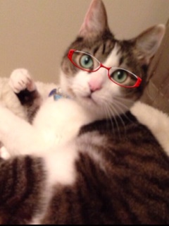 hitomiさん