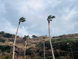 台風7号のアイキャッチ画像