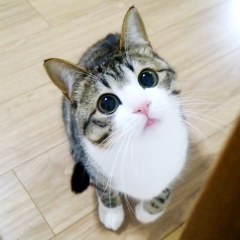 中村さん