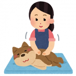 Q&A どんな人が向いてますか?またどんな人が・・・のアイキャッチ画像