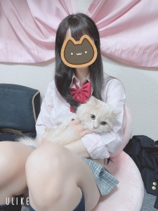 店長猫のいるお店のアイキャッチ画像