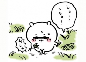 ち〇かわのアイキャッチ画像