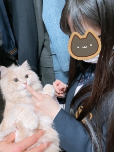 店長猫のいるお店のアイキャッチ画像