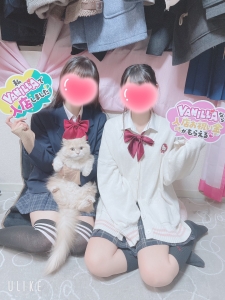 店長猫のいるお店のアイキャッチ画像