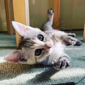 無料の送迎でラクラク通勤♪のアイキャッチ画像