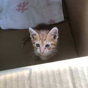 今がチャンス！のアイキャッチ画像
