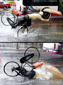 雨だね～( ﾉД`)ｼｸｼｸ&hellip;のアイキャッチ画像