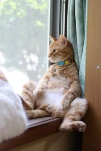 連休最終日雨!!のアイキャッチ画像