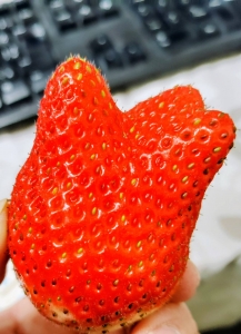 甘いあま～いお店です♪のアイキャッチ画像