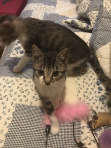 おいしいパンのアイキャッチ画像