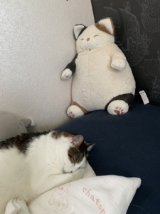 すやすや・・・&hearts;のアイキャッチ画像