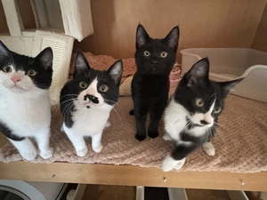 暑い・・・のアイキャッチ画像