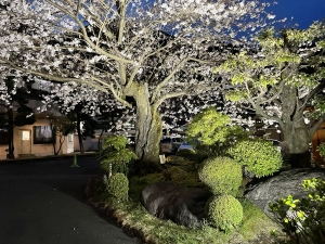 体調管理って本当に大事・・のアイキャッチ画像