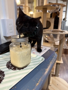 今日は喫茶店の日☕️ホッと一息つきませんか？のアイキャッチ画像