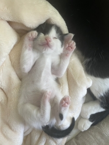 気圧が・・・のアイキャッチ画像