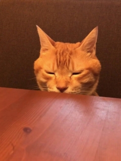 代表さん