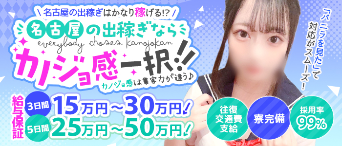逆セーラー服しか勝たんカノジョ感錦店の風俗求人画像