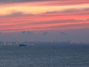 SNSって自由に利用して大丈夫ですか？のアイキャッチ画像