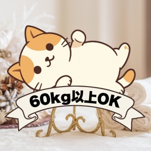 60kg以上でもOK～♪のアイキャッチ画像