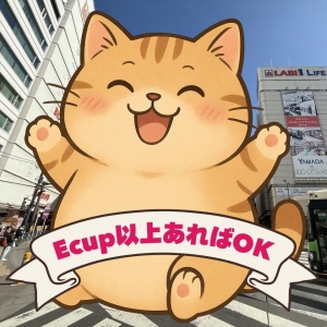 Eカップ以上あればOK～♪のアイキャッチ画像