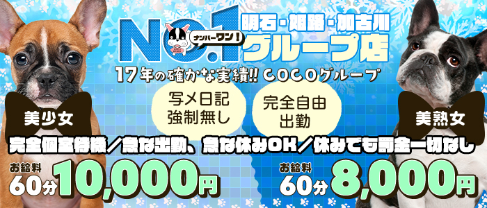 ＣＯＣＯグループの風俗求人画像