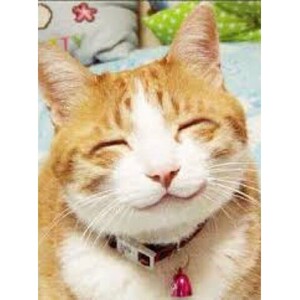 錦糸町の客層とは?!のアイキャッチ画像
