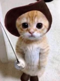 ごるはんさん