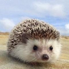 おださん