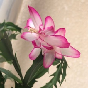 ☆ SМ未経験でも、お気軽にお越しください☆のアイキャッチ画像
