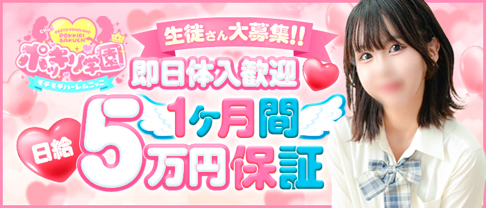 ポッキリ学園~モテモテハーレムごっこ~の風俗求人画像