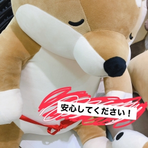 未経験で不安な方へ、DVD講習って実際どんな感じ?のアイキャッチ画像