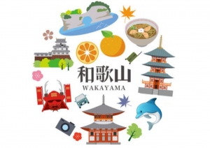 ☆和歌山で過ごすちょっと特別な時間🐬のアイキャッチ画像