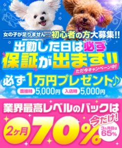 お店の採用条件についてお答えしますのアイキャッチ画像