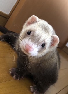 ゆー坊さん