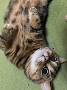 パネル写真で心掛けてる事!のアイキャッチ画像