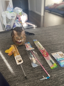 ゴールデンウィークやばめです！のアイキャッチ画像